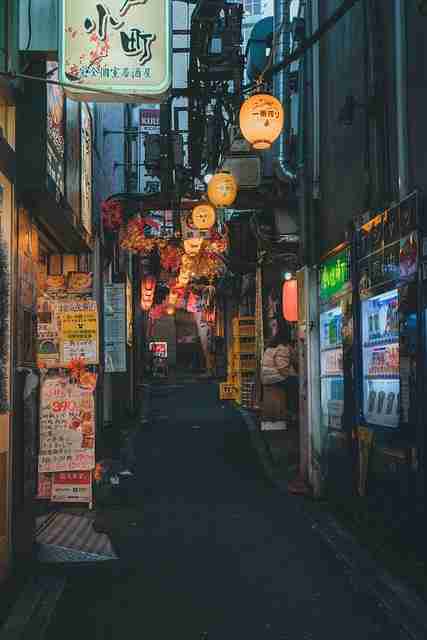 蘑菇视频下载——沉浸式黑科技指南秘籍(最新版)