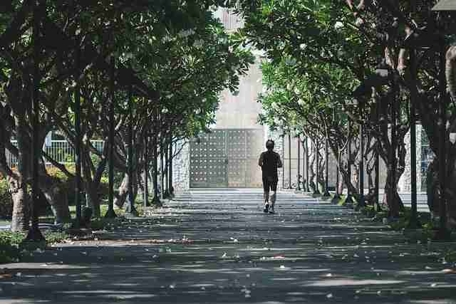 2025年51视频网站强化黑马基因：68招秘籍